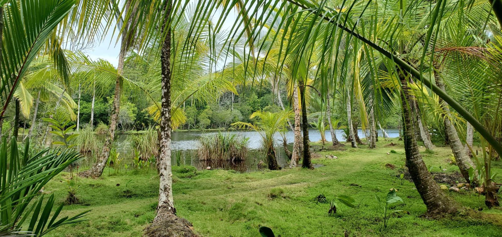 Freshwater lake on the peninsula